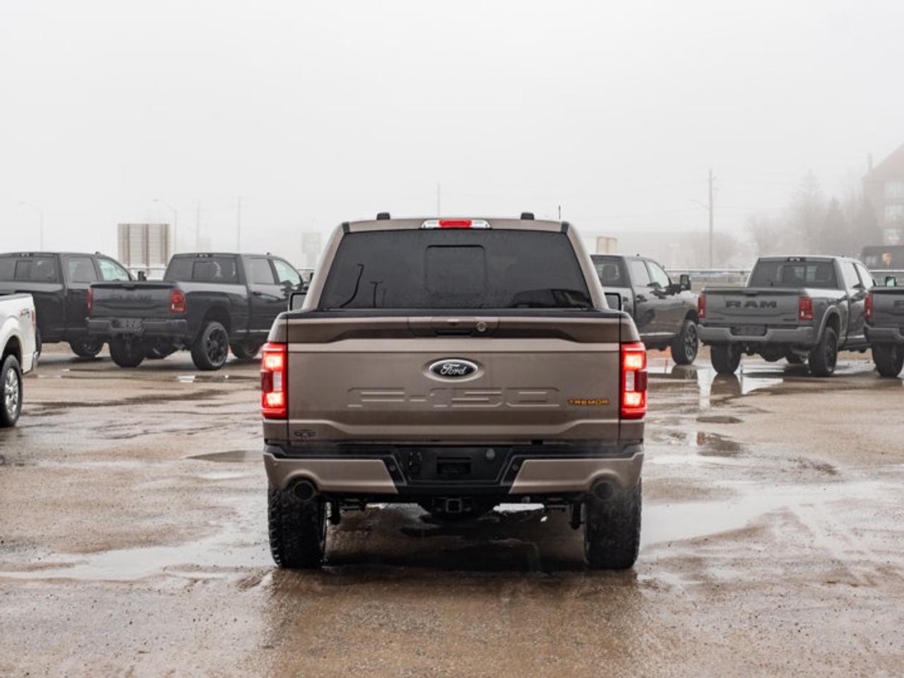 2023 Ford F-150 XL Photo