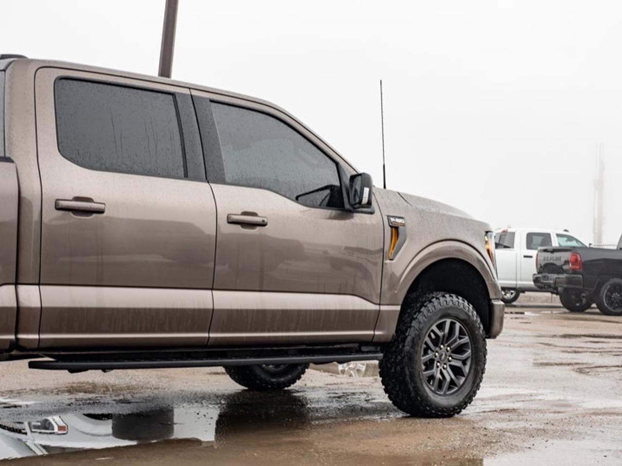 2023 Ford F-150 XL Photo