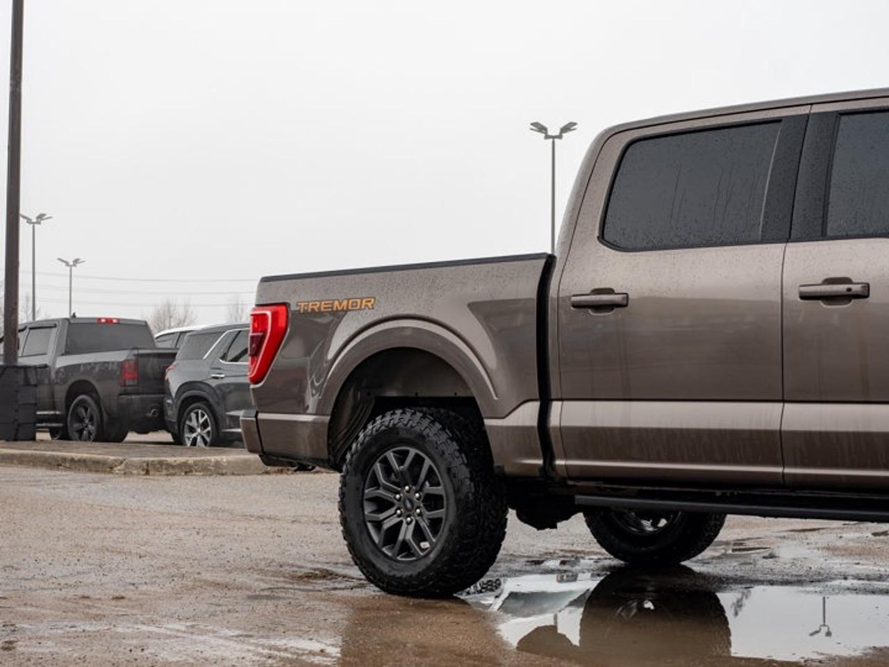2023 Ford F-150 XL Photo