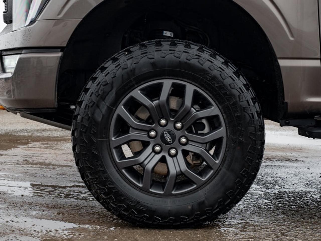 2023 Ford F-150 XL Photo