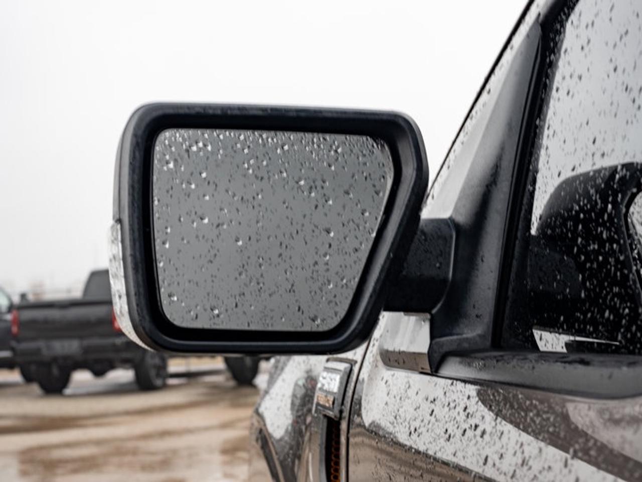 2023 Ford F-150 XL Photo