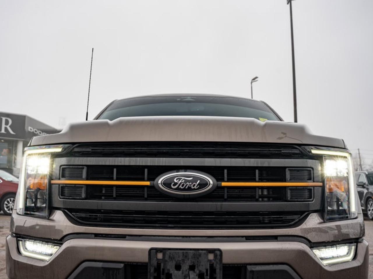 2023 Ford F-150 XL Photo