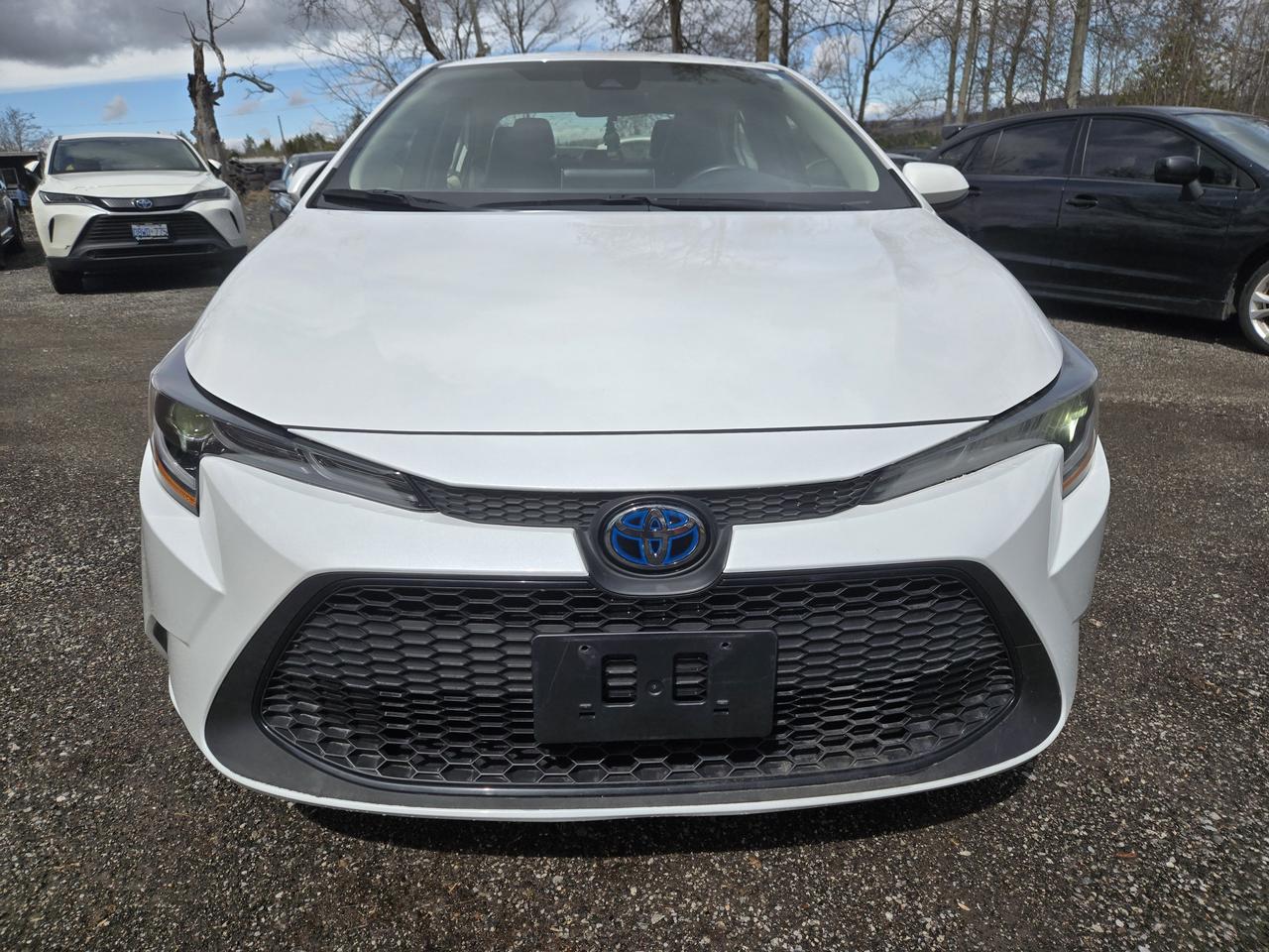 2022 Toyota Corolla Hybrid Photo