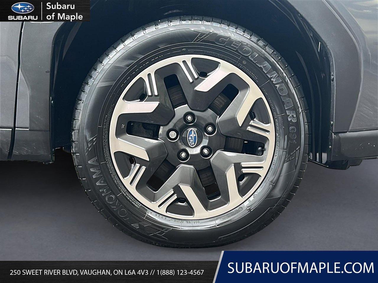 2025 Subaru Forester Convenience AWD Photo