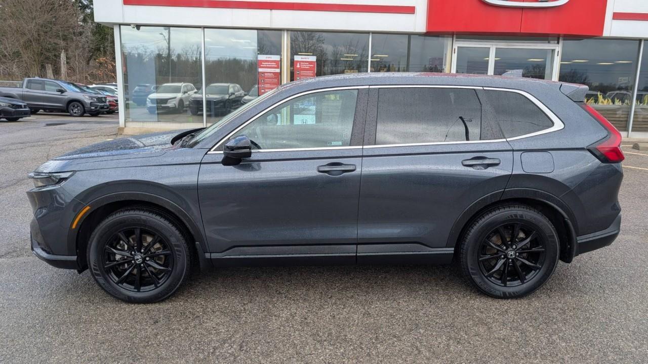 2024 Honda CR-V Hybrid EX-L 4dr All-Wheel Drive Photo