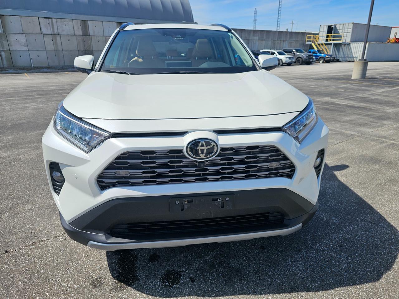 2019 Toyota RAV4 Limited 4dr All-wheel Drive Photo
