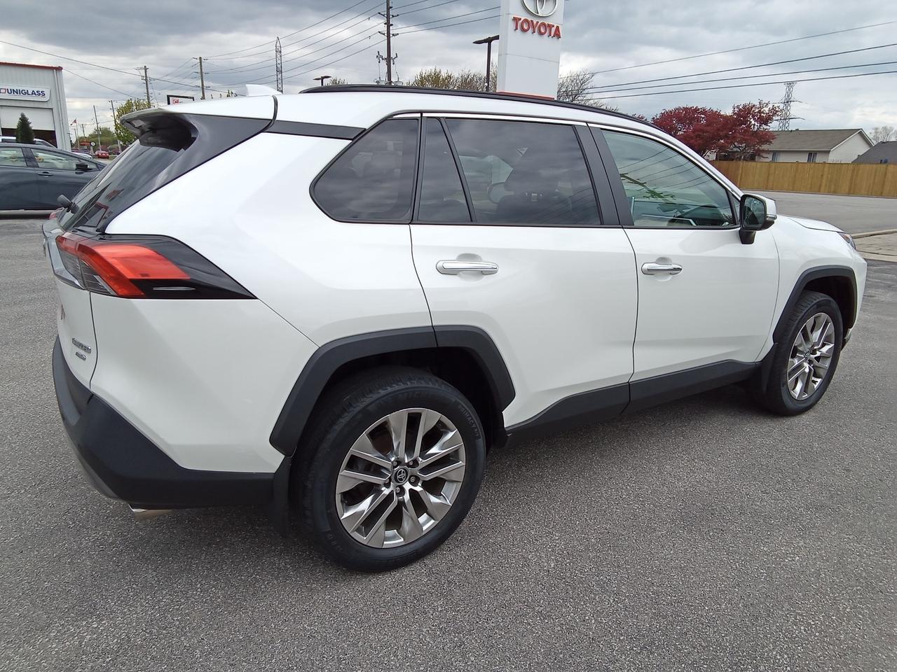 2019 Toyota RAV4 Limited 4dr All-wheel Drive Photo