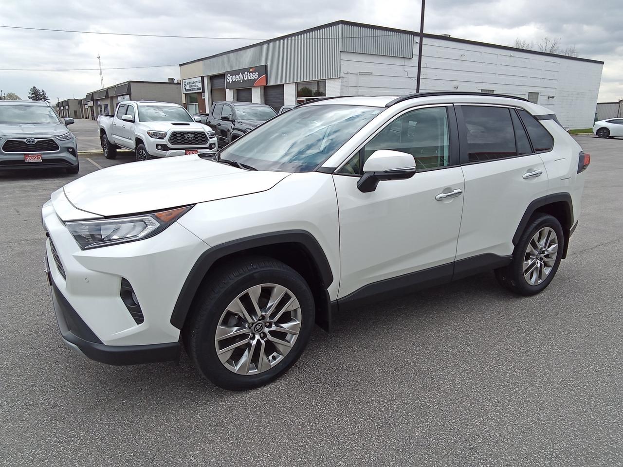 2019 Toyota RAV4 Limited 4dr All-wheel Drive Photo