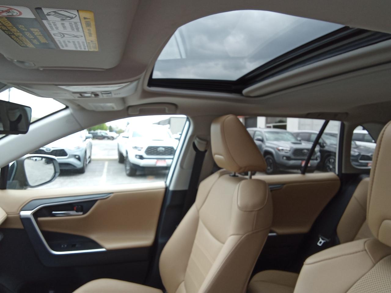 2019 Toyota RAV4 Limited 4dr All-wheel Drive Photo