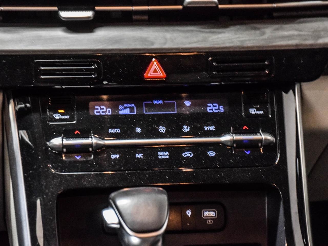 2024 Kia Carnival  Photo