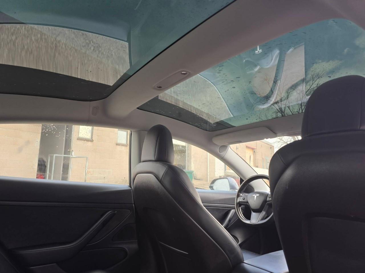 2020 Tesla Model 3 Standard Range Plus RWD Photo