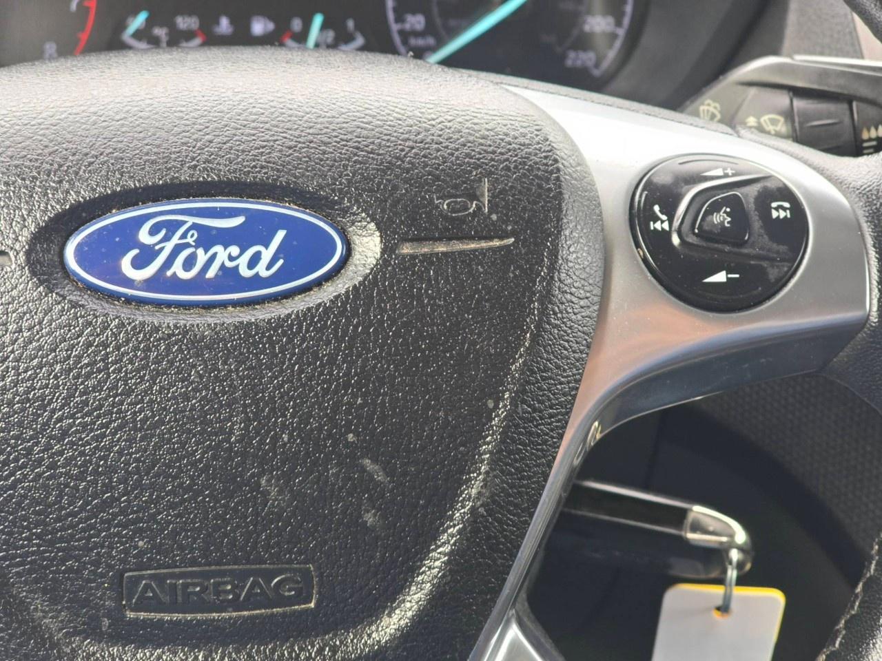 2020 Ford TRANSIT CONNECT VAN XLT w/Dual Sliding Doors Photo