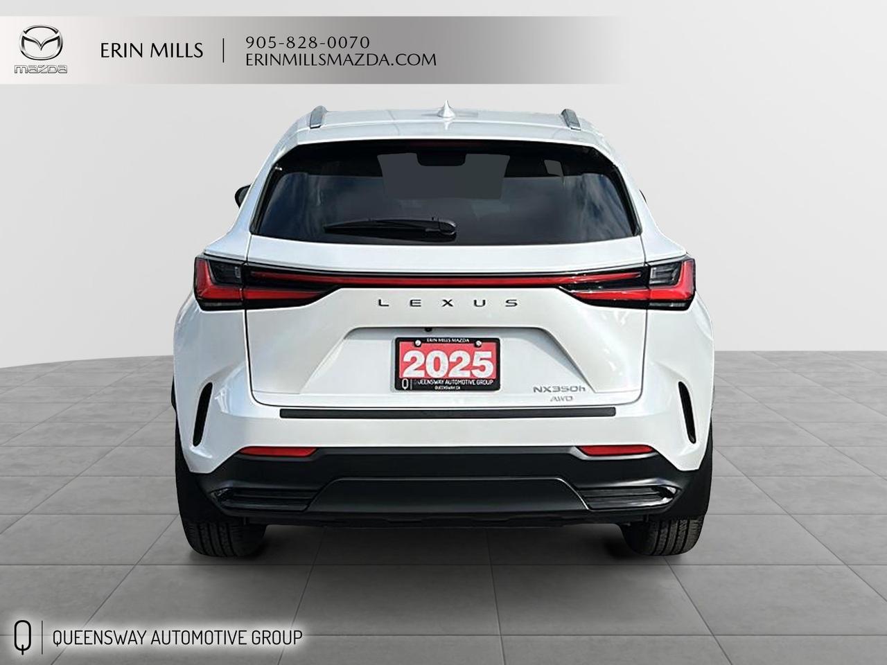 2025 Lexus NX 350h Base Photo