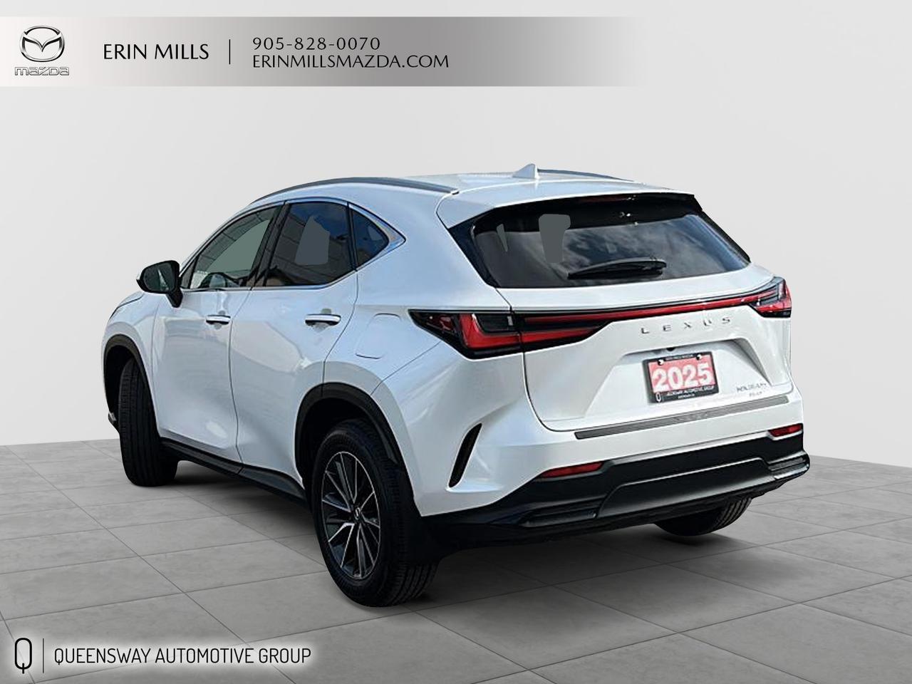 2025 Lexus NX 350h Base Photo3