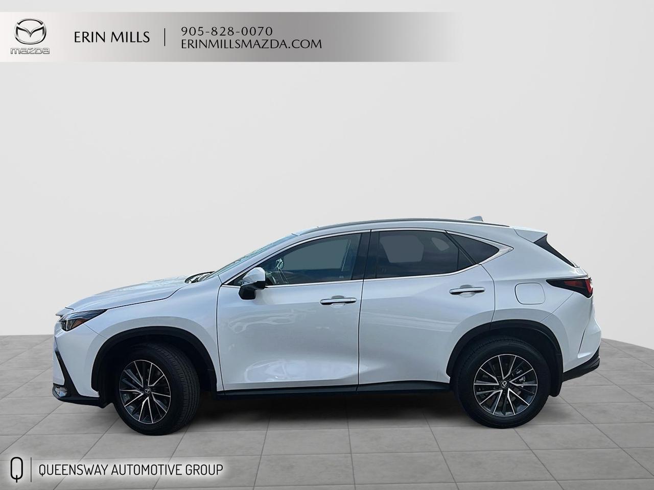 2025 Lexus NX 350h Base Photo