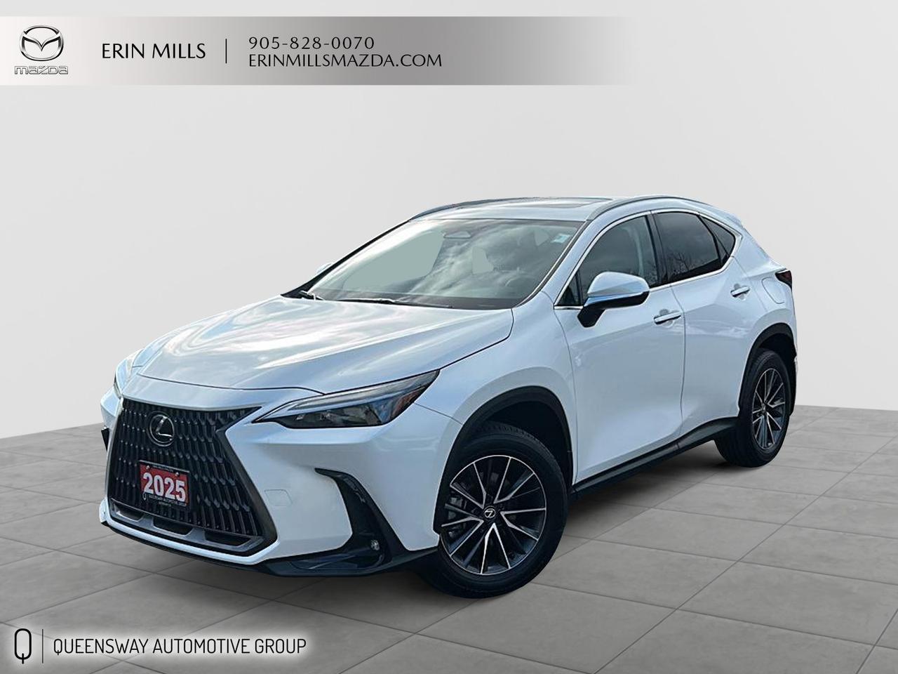 2025 Lexus NX 350h Base Photo