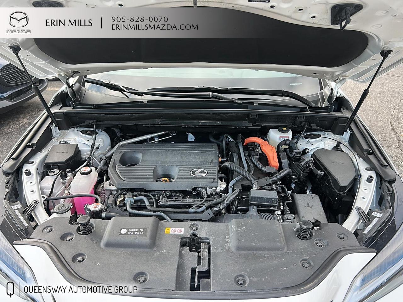 2025 Lexus NX 350h Base Photo
