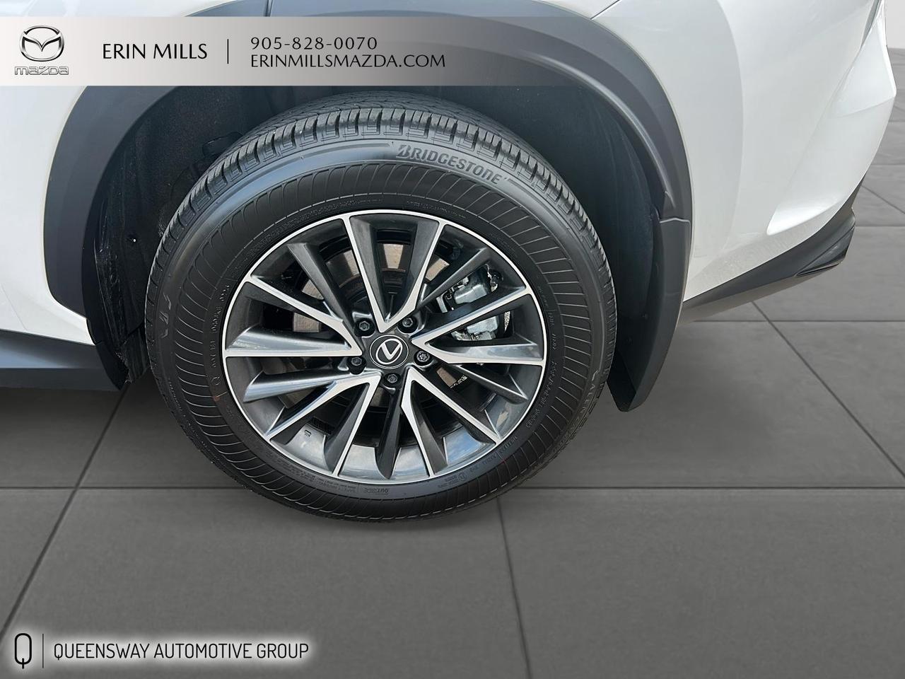 2025 Lexus NX 350h Base Photo