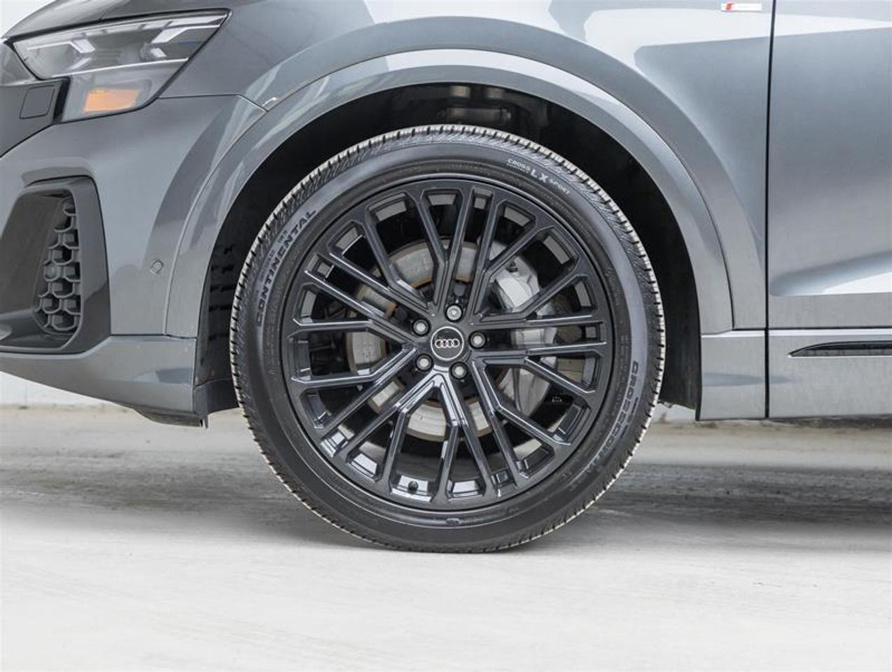 2025 Audi Q8  Photo