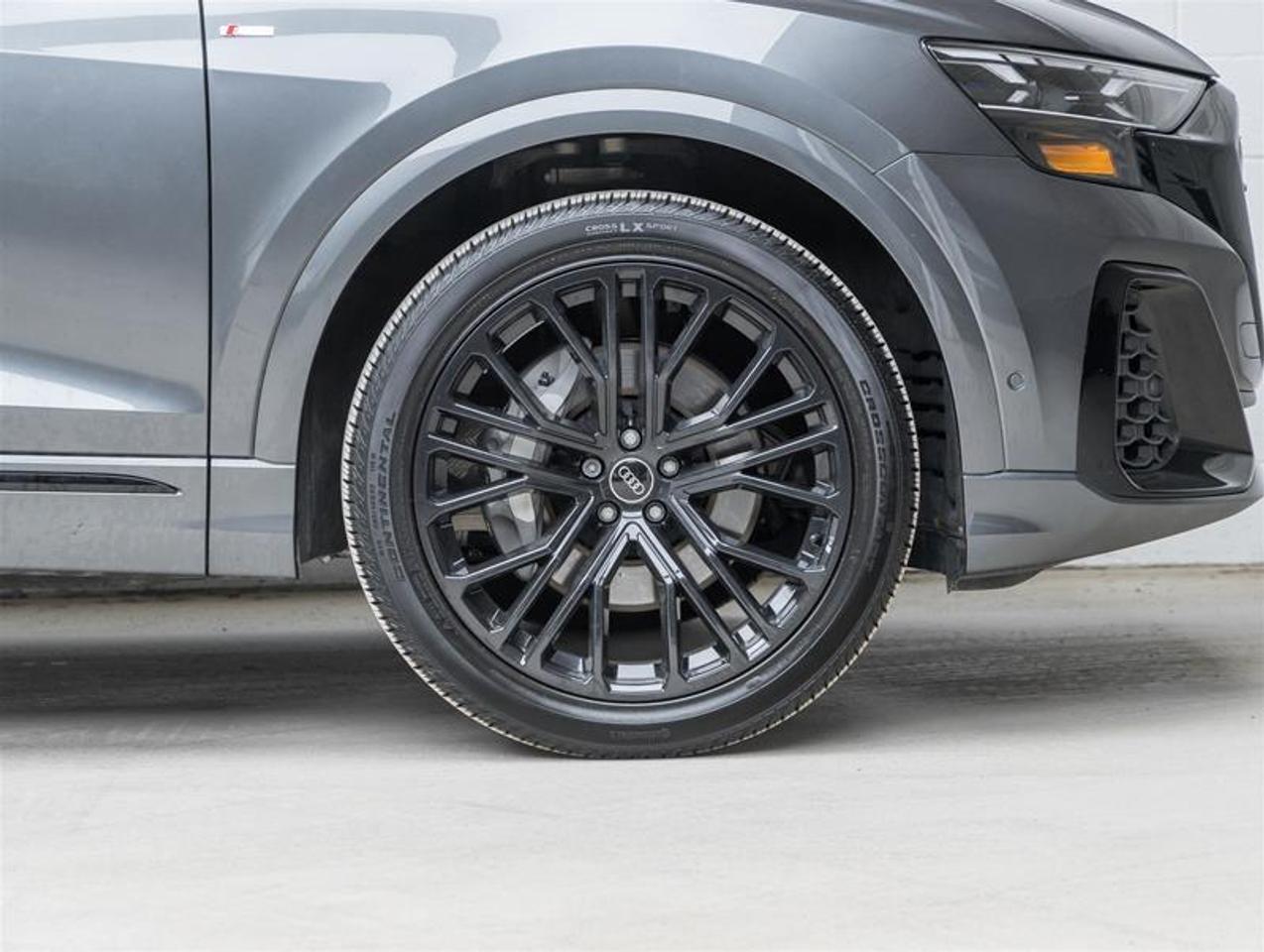 2025 Audi Q8  Photo