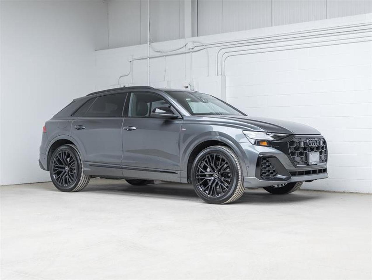 2025 Audi Q8  Photo