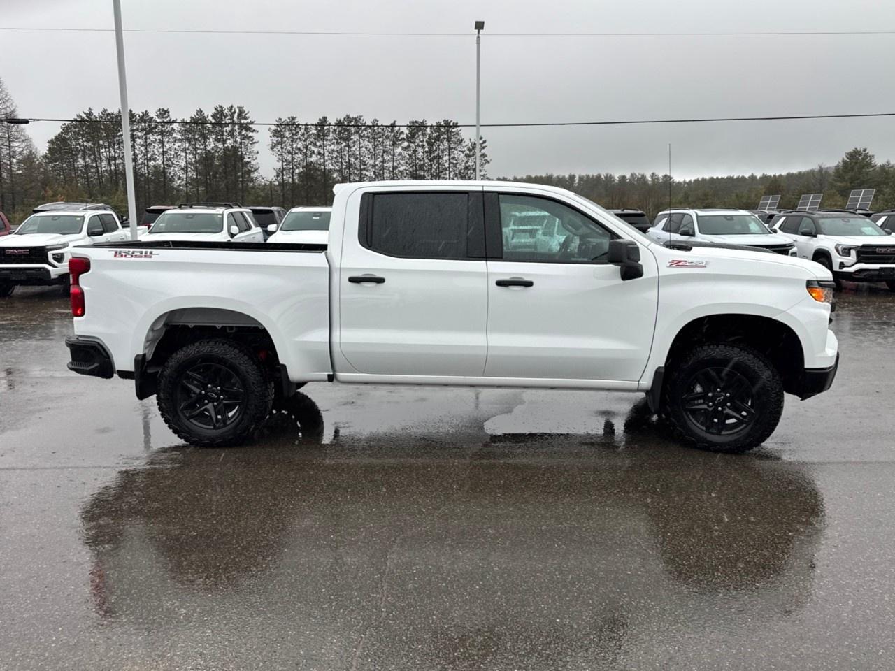 2026 Chevrolet Silverado 1500 Crew Cab Short Box 4-Wheel Drive Custom Trail Boss Photo