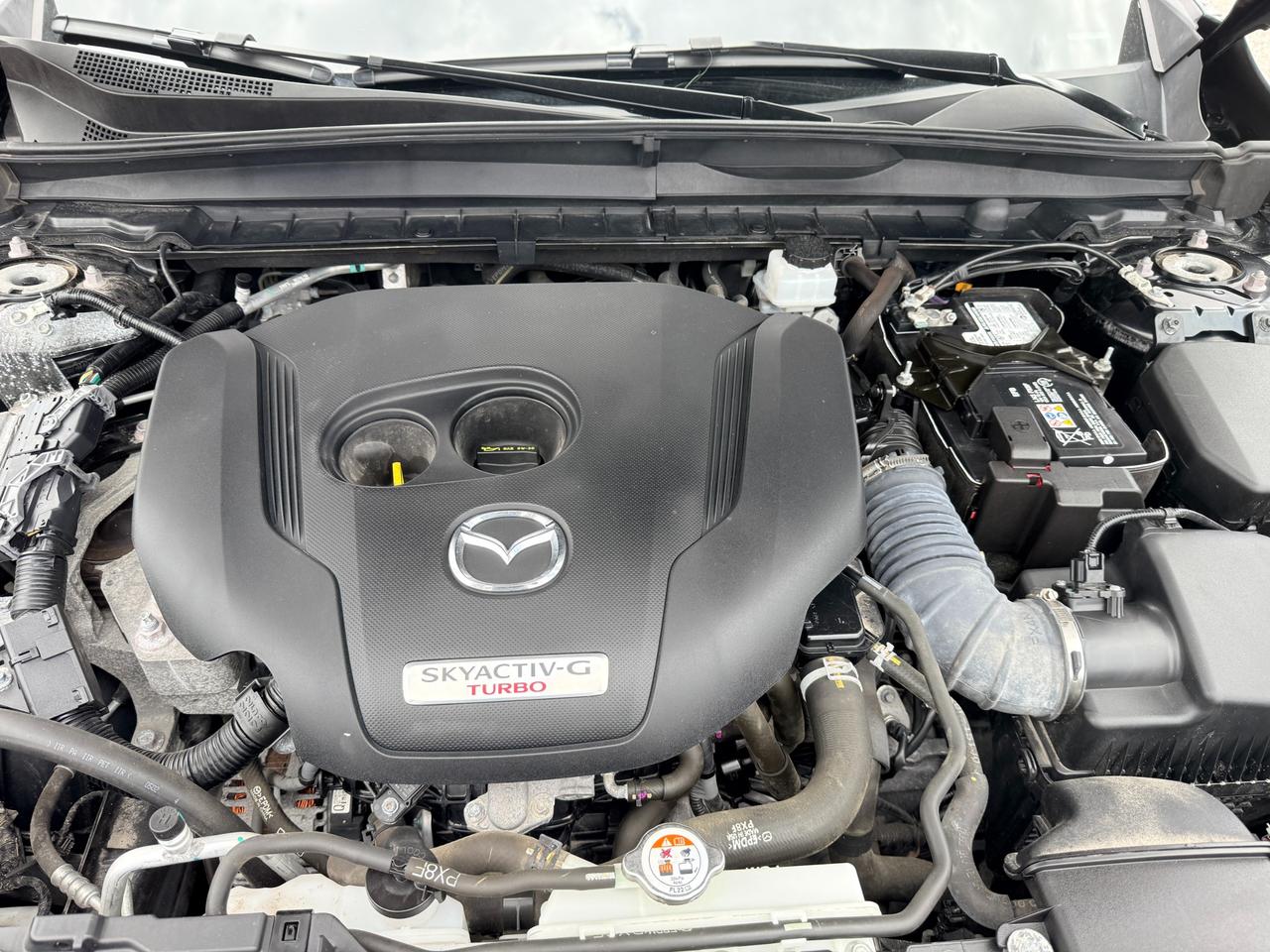 2023 Mazda CX-50 GT w/Turbo 4dr All-Wheel Drive Sport Utility Photo