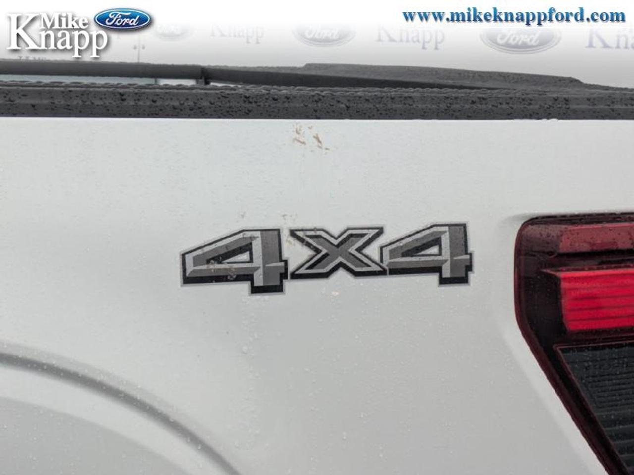 2026 Ford F-150 STX Photo