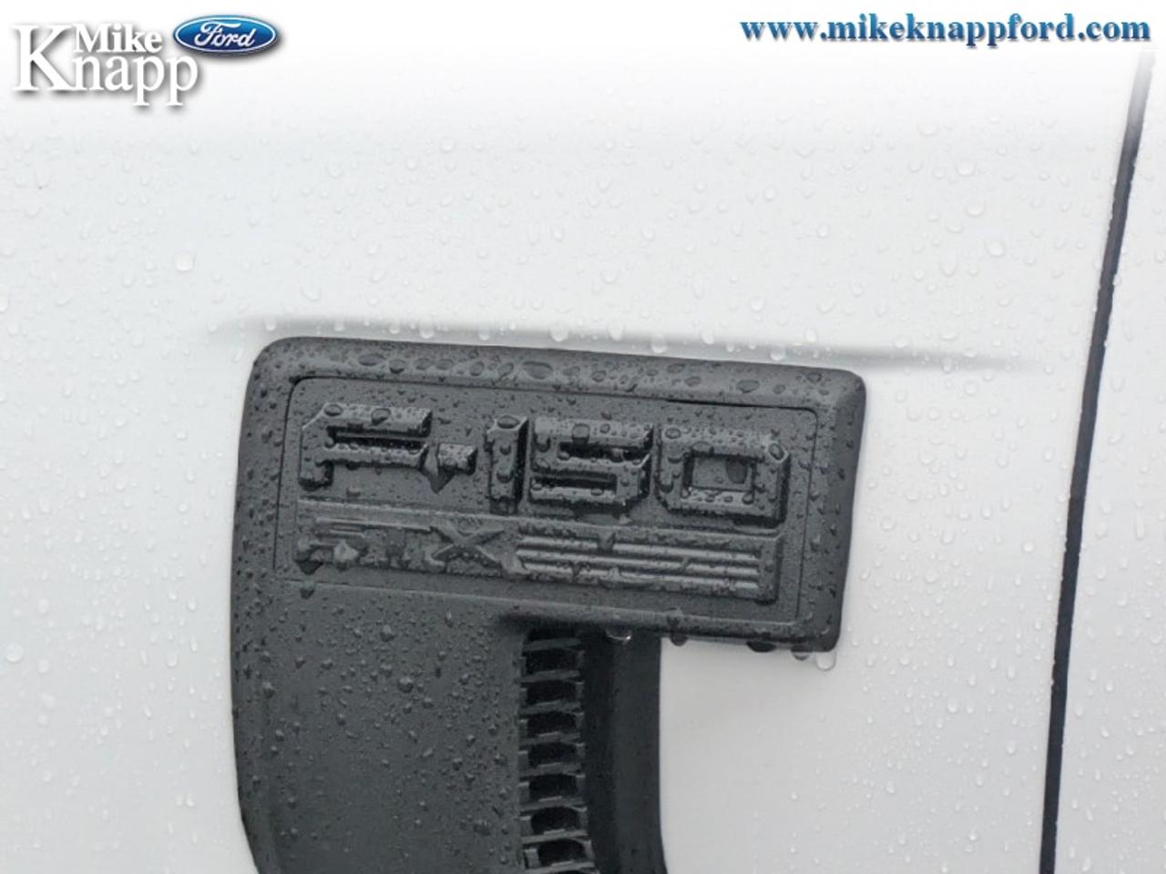 2026 Ford F-150 STX Photo
