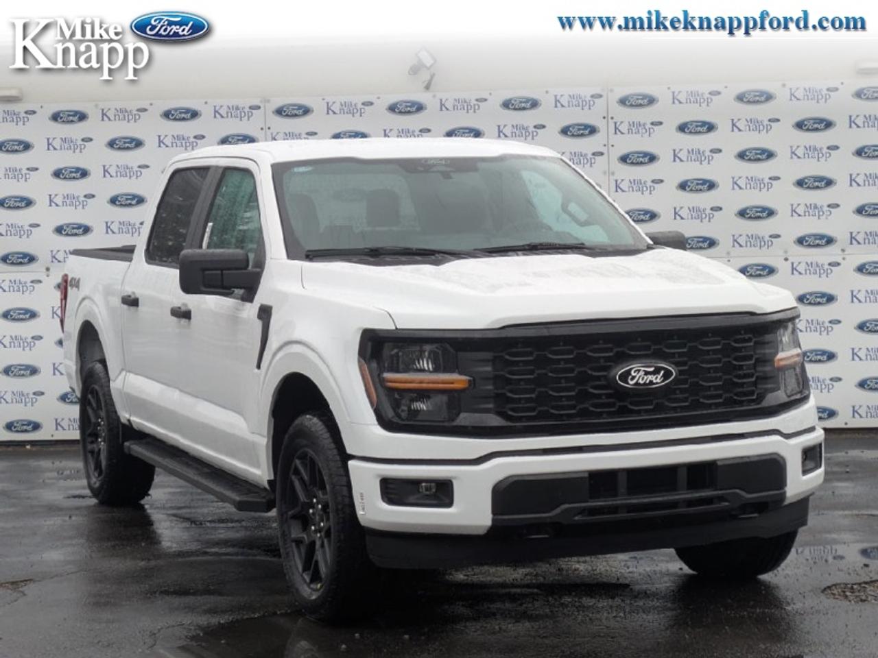2026 Ford F-150 STX Photo