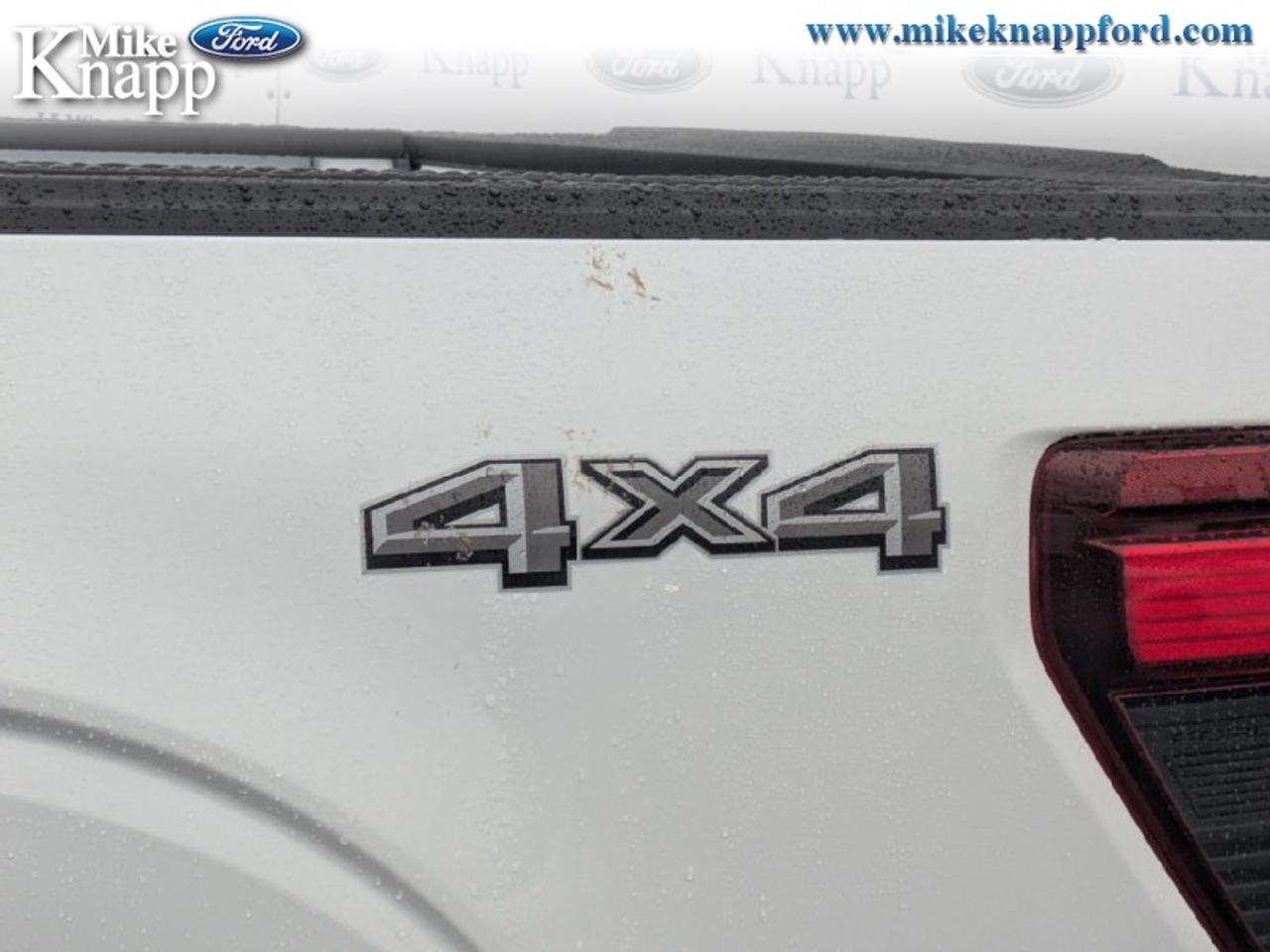2026 Ford F-150 STX Photo