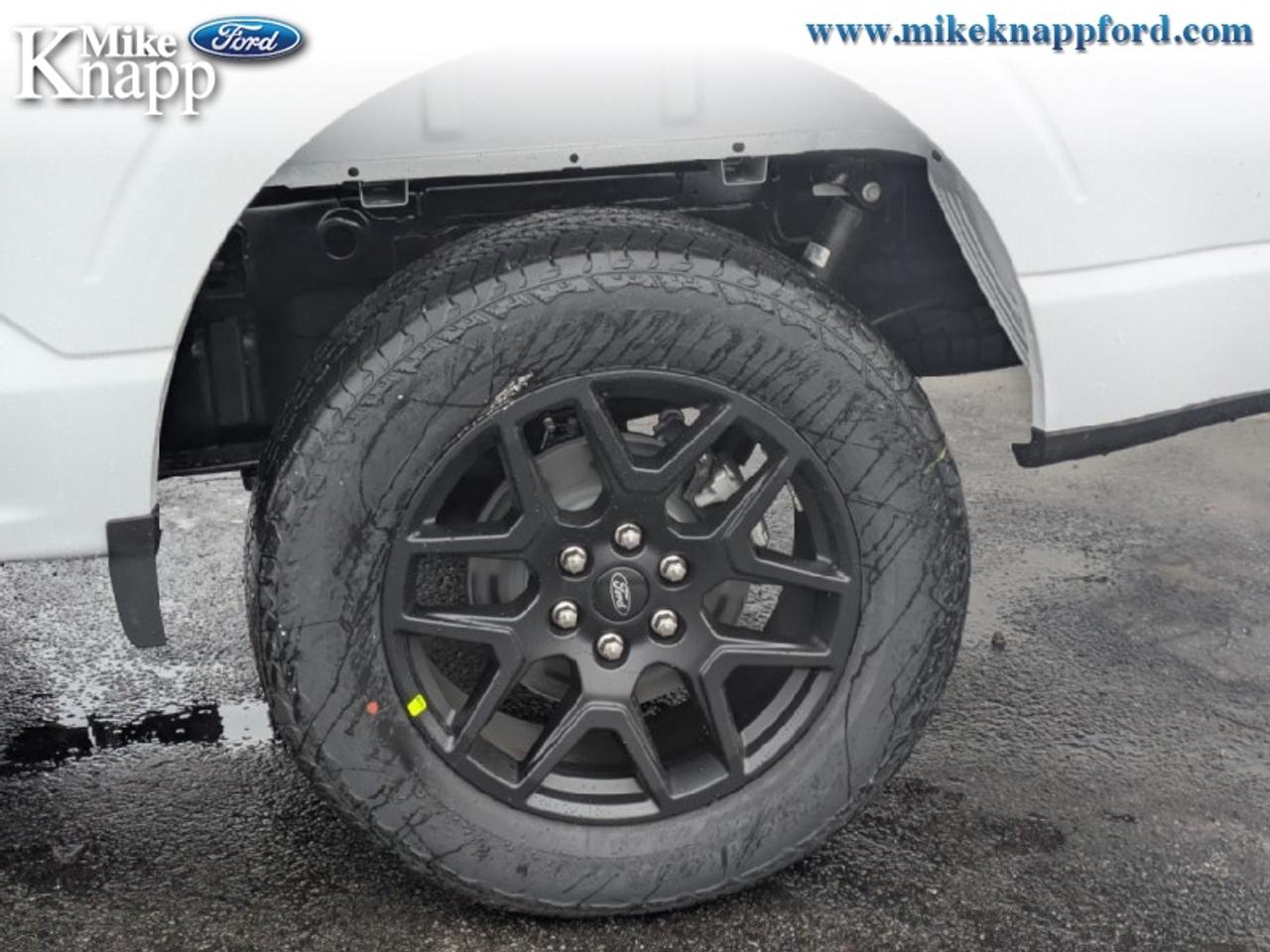 2026 Ford F-150 STX Photo