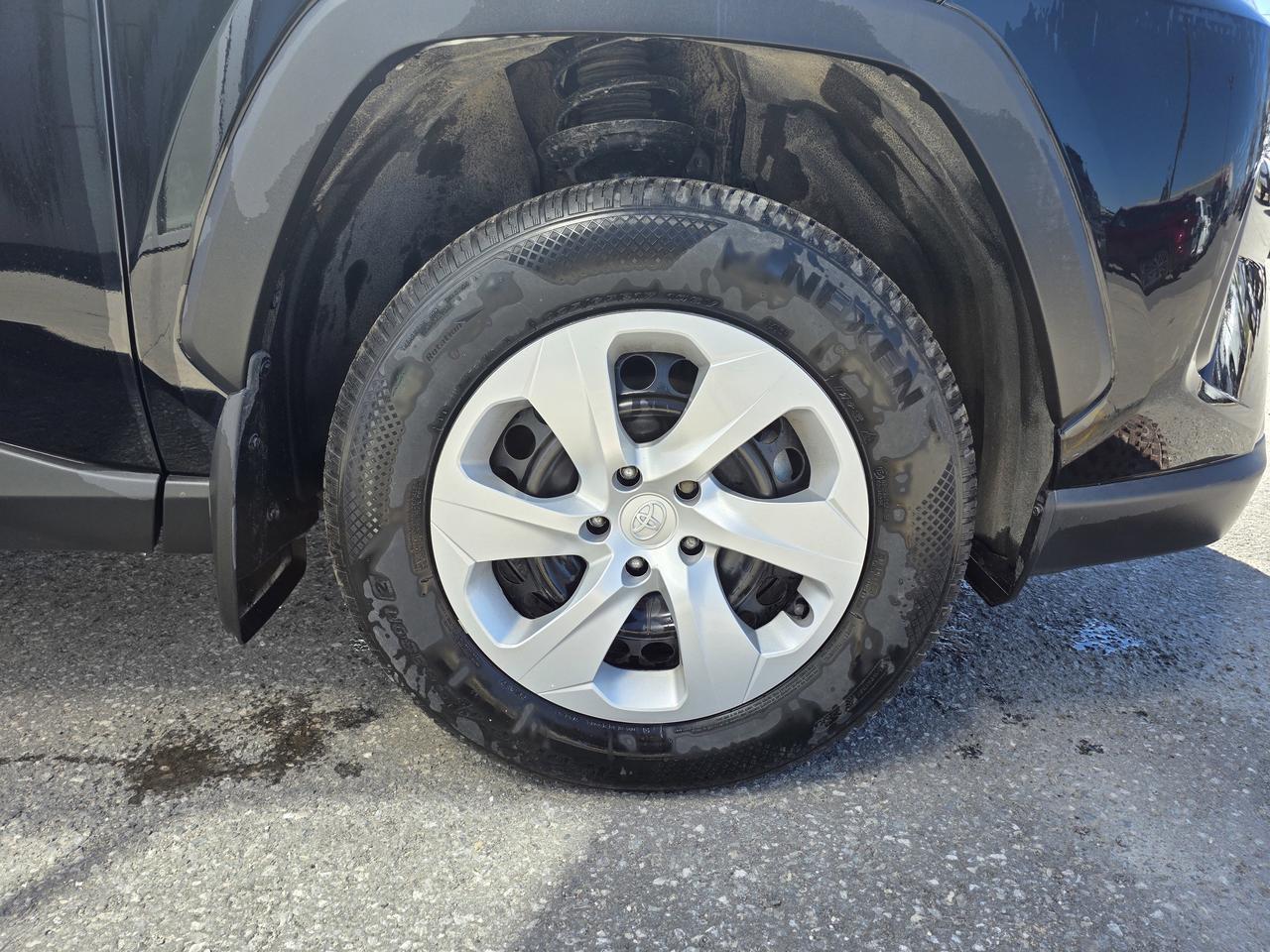 2025 Toyota RAV4 LE Photo