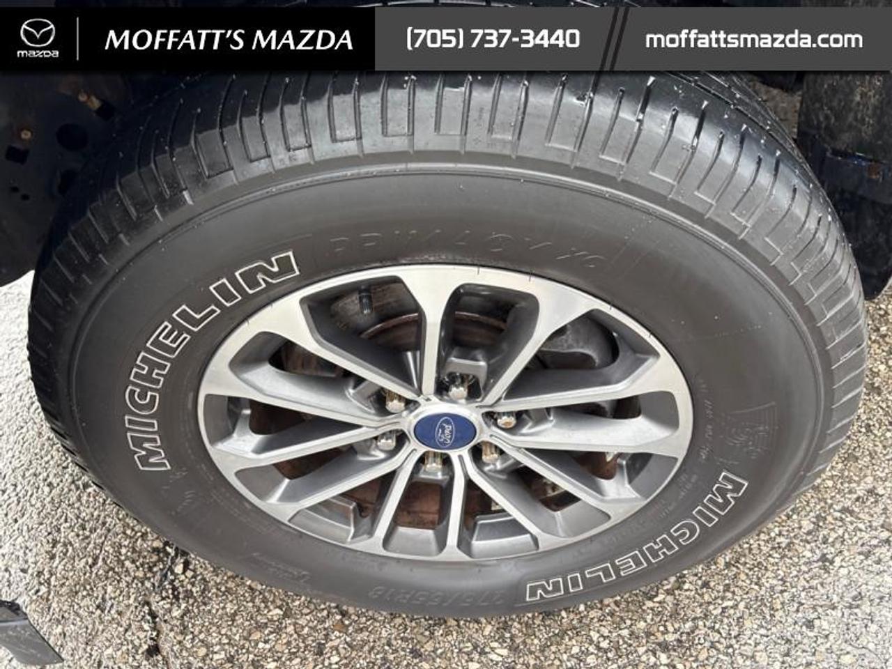 2019 Ford F-150 XLT Photo
