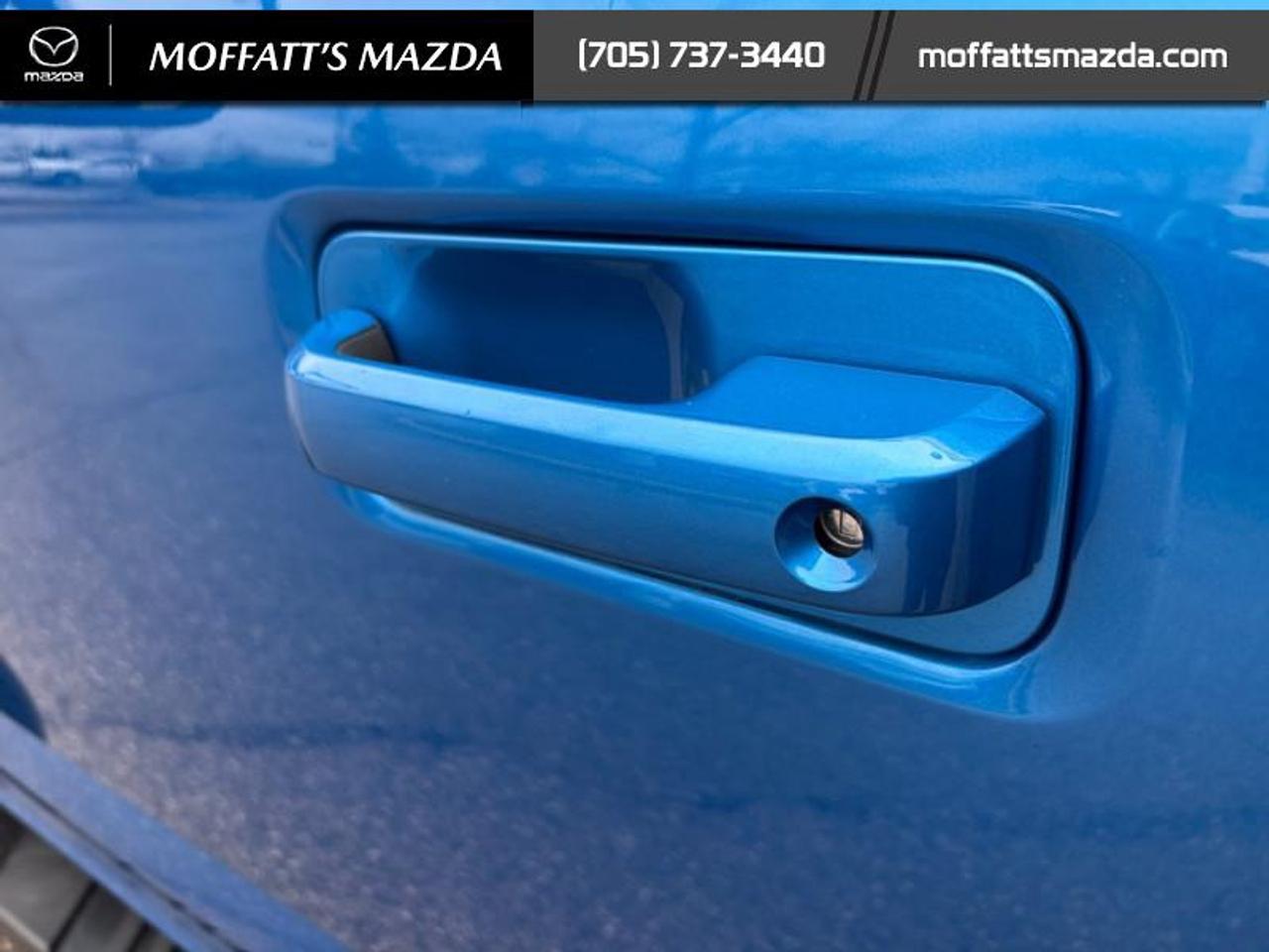 2019 Ford F-150 XLT Photo