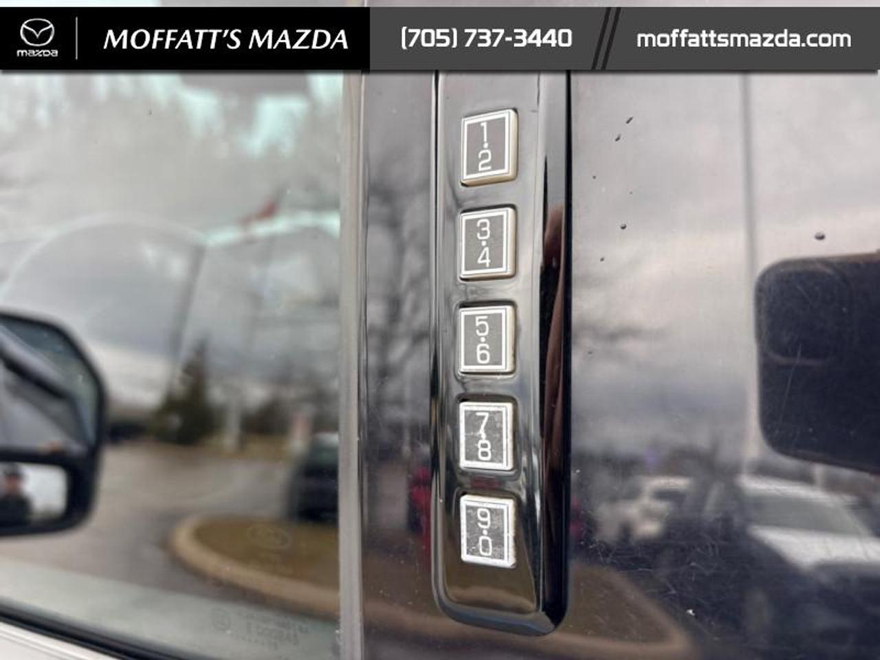 2019 Ford F-150 XLT Photo