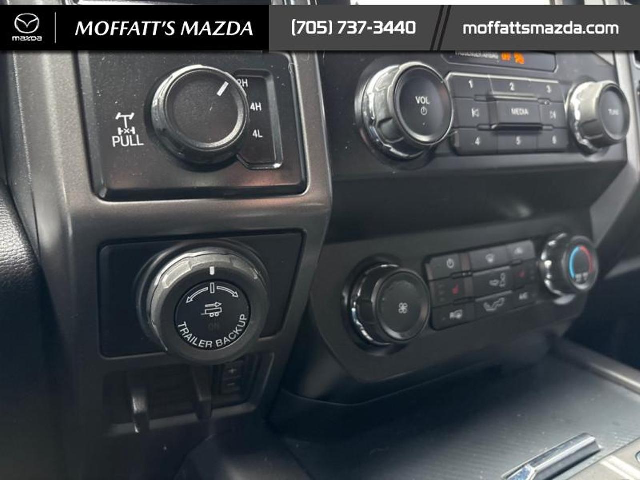 2019 Ford F-150 XLT Photo