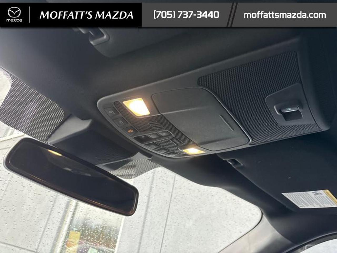 2019 Ford F-150 XLT Photo