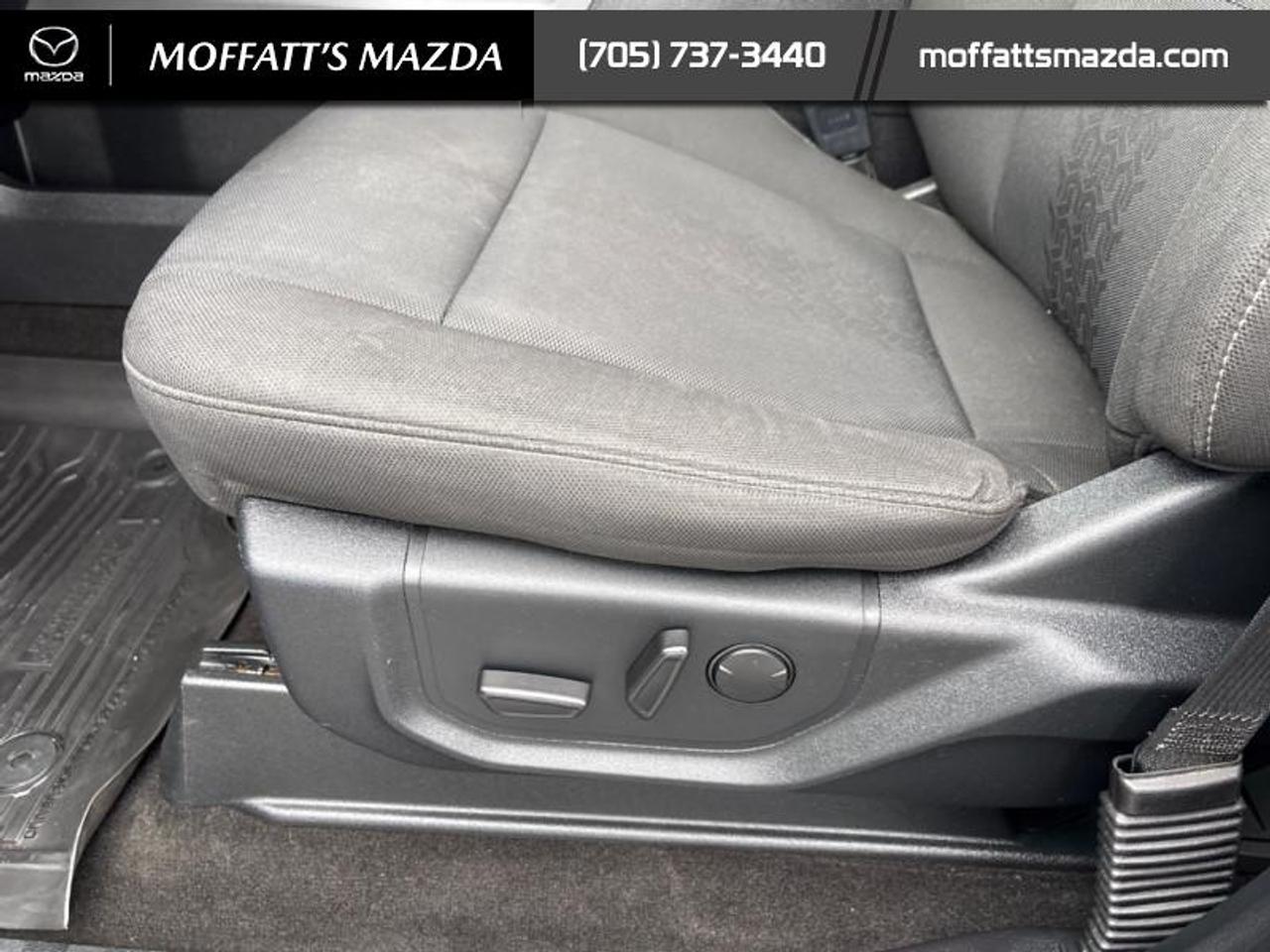 2019 Ford F-150 XLT Photo