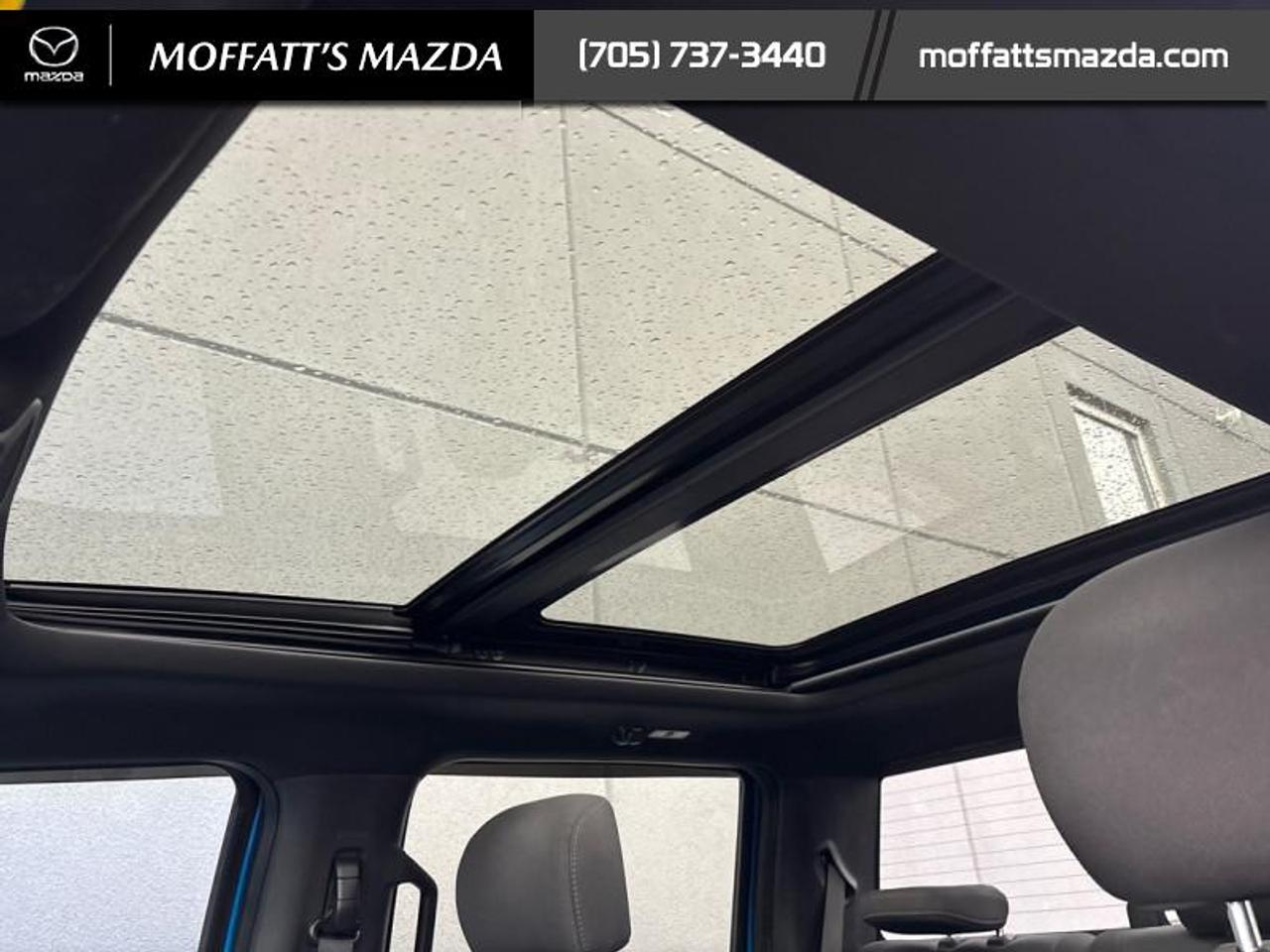 2019 Ford F-150 XLT Photo