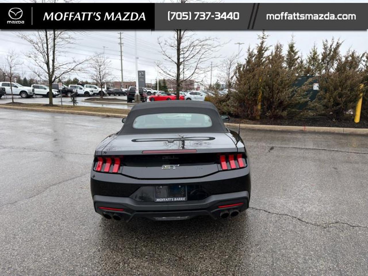 2024 Ford Mustang GT Premium Convertible Photo