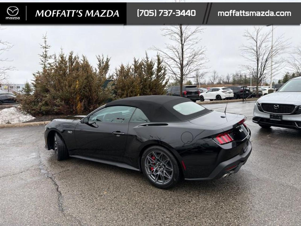 2024 Ford Mustang GT Premium Convertible Photo