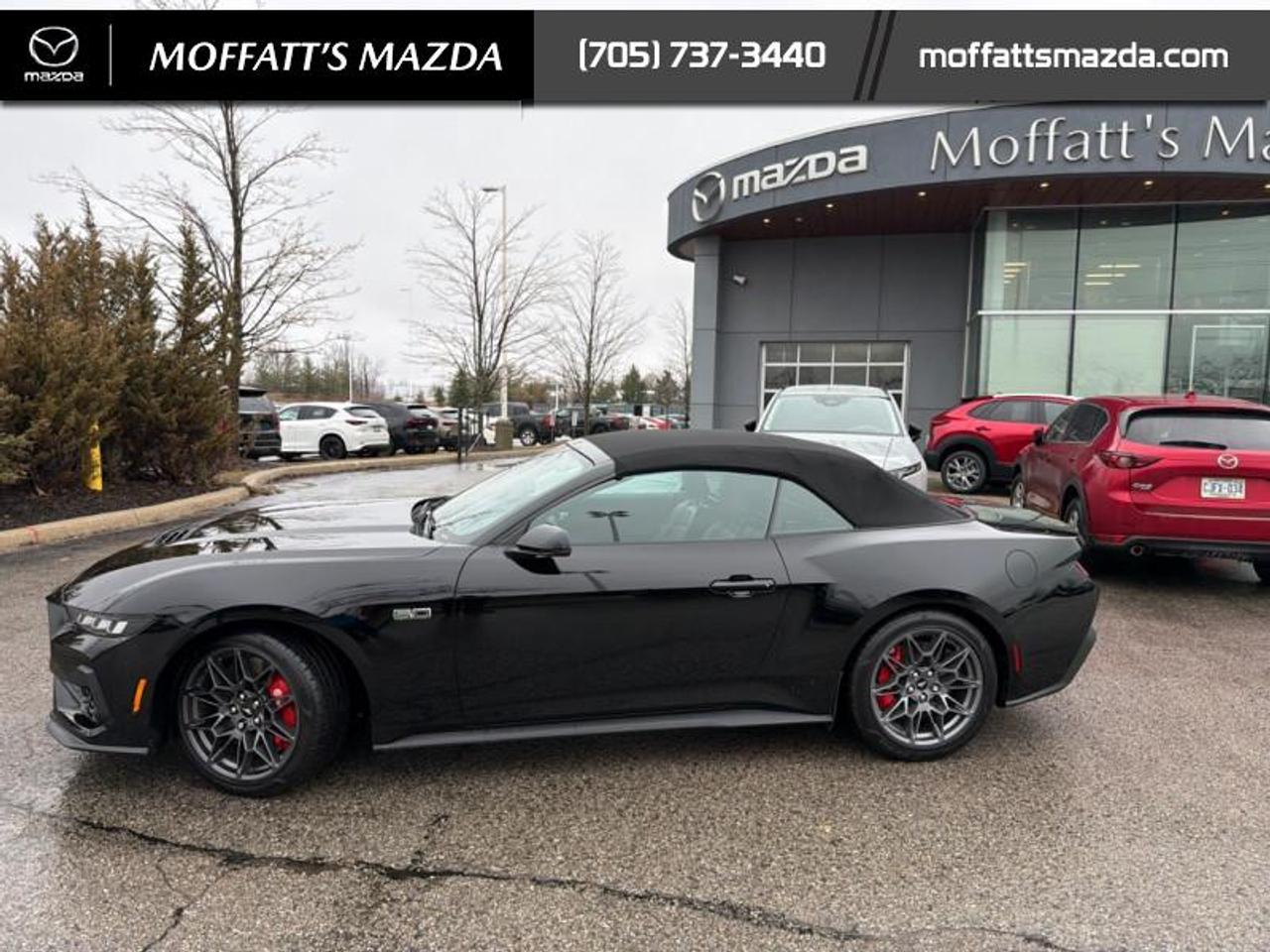 2024 Ford Mustang GT Premium Convertible Photo