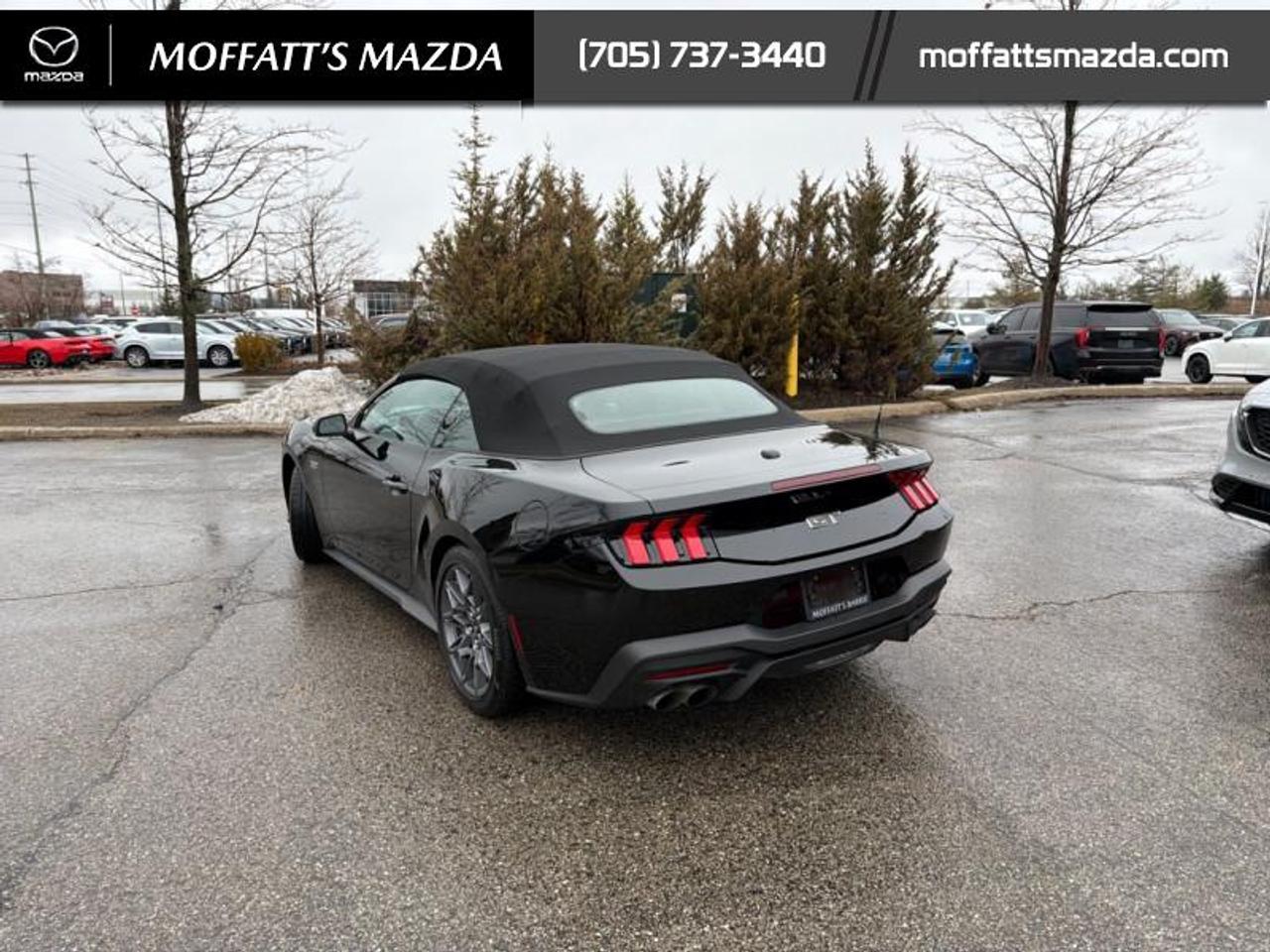 2024 Ford Mustang GT Premium Convertible Photo