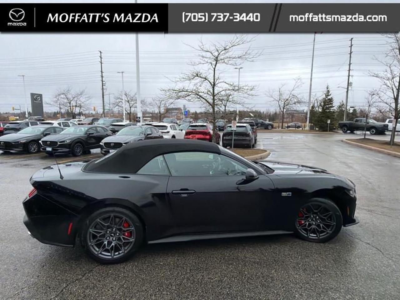 2024 Ford Mustang GT Premium Convertible Photo