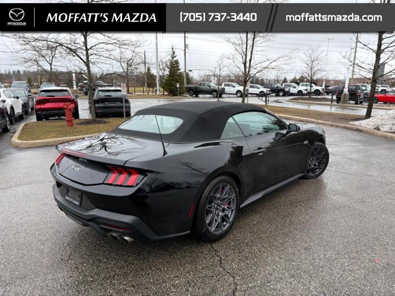 2024 Ford Mustang GT Premium Convertible Photo