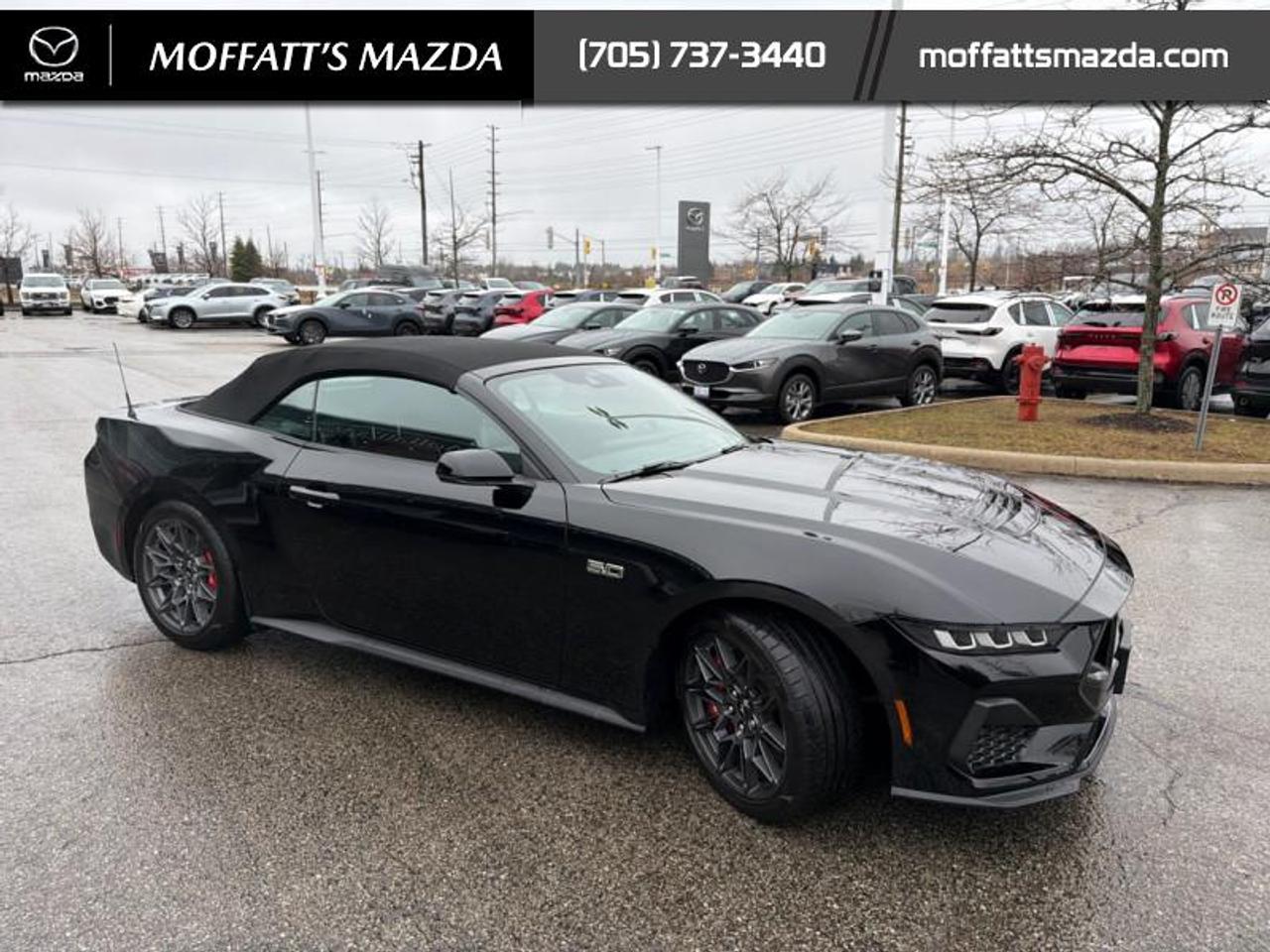 2024 Ford Mustang GT Premium Convertible Photo