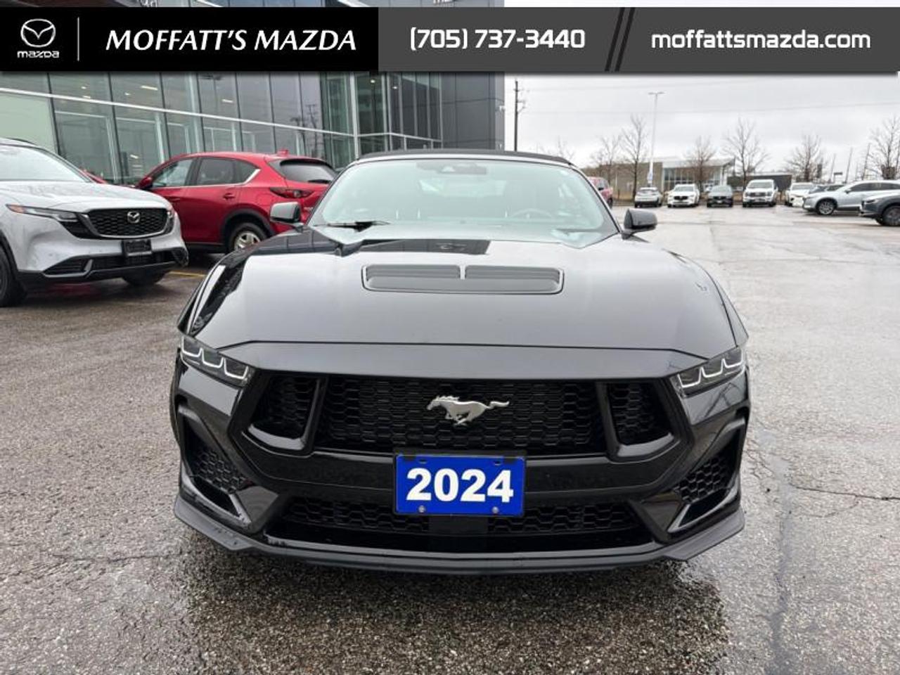 2024 Ford Mustang GT Premium Convertible Photo