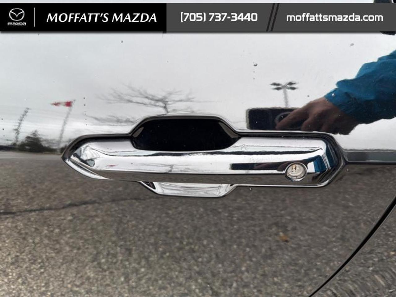 2024 Ford Mustang GT Premium Convertible Photo