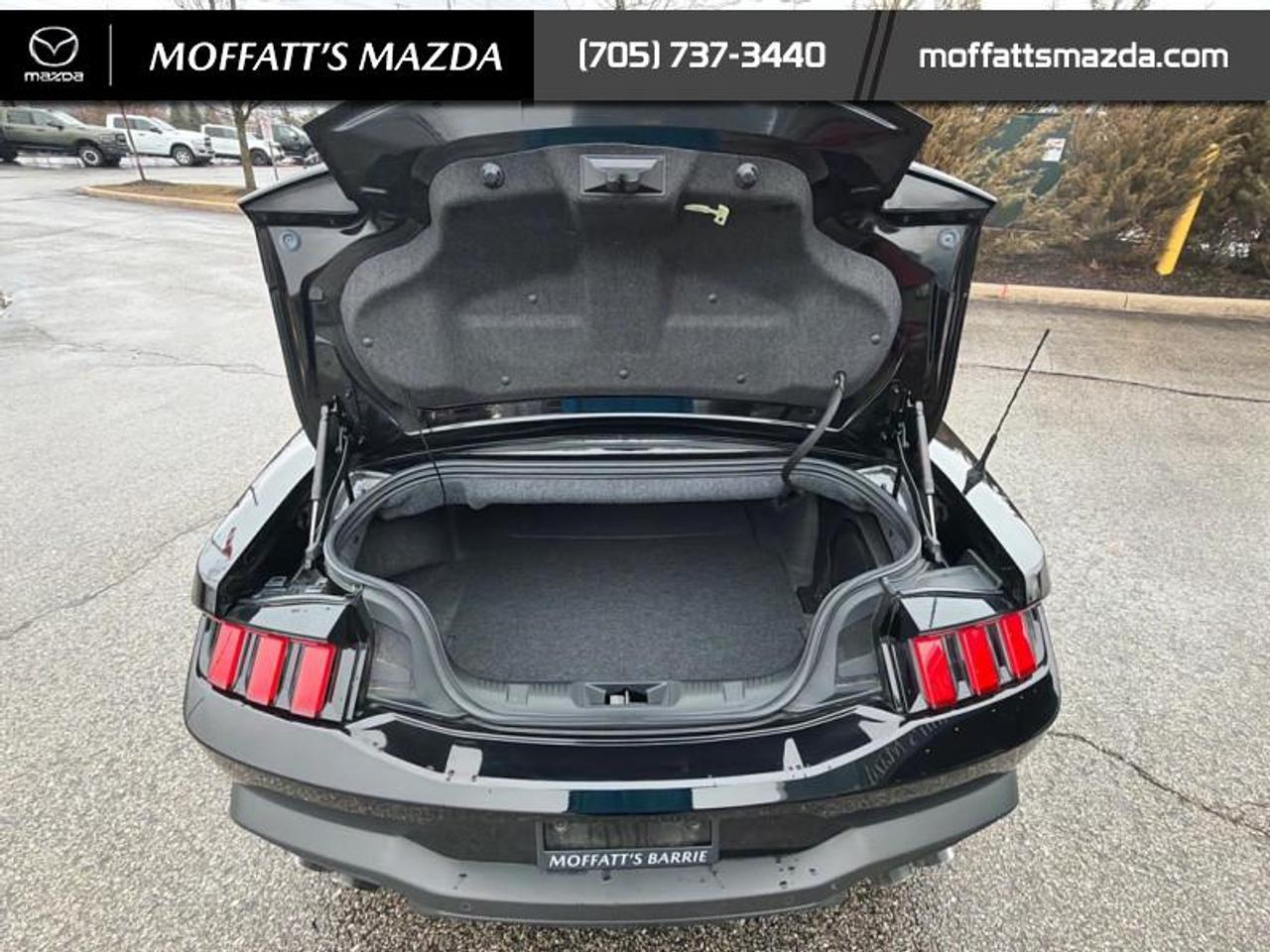 2024 Ford Mustang GT Premium Convertible Photo